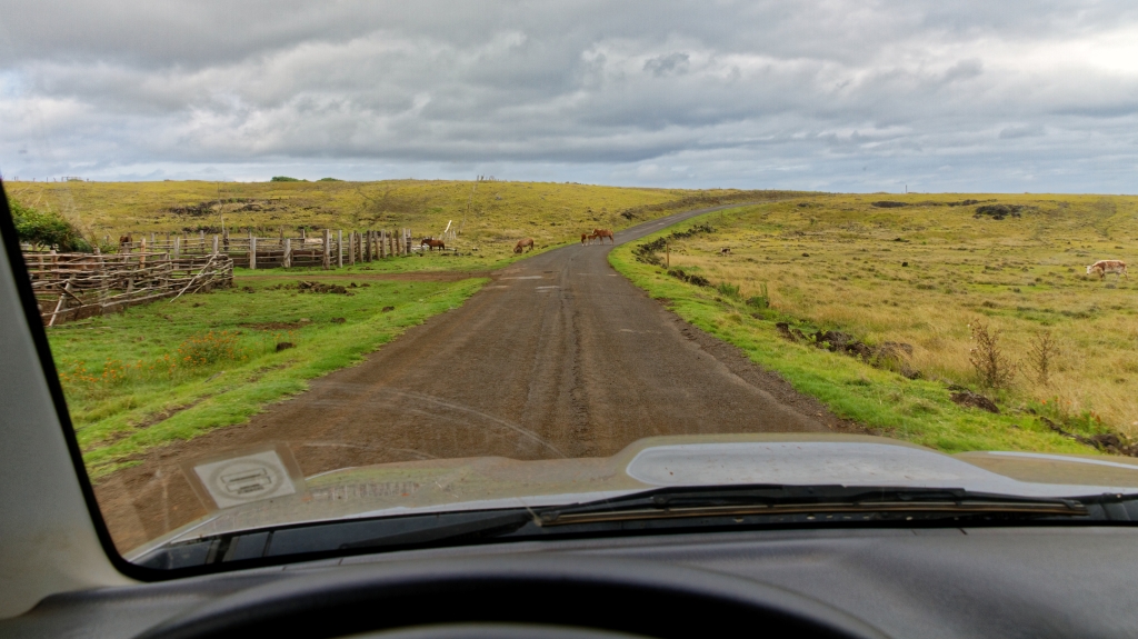 20 - Ile De Pâques (7).jpg